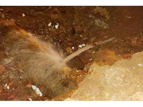 Especializado em Detecção de Vazamentos de Água no Petrópolis